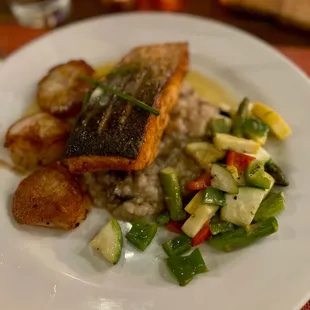 Steelhead Salmon w/ scallops