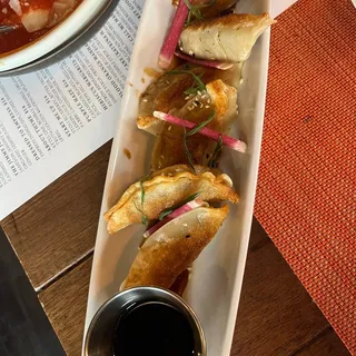 Pan Seared Japanese Dumplings