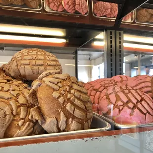 Conchas