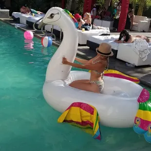 Artisan Pool