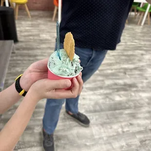 Small cup MInt Chocokate Gelato