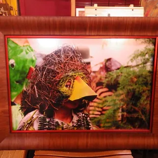 Combining wood and metal frames