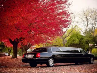 Big Ticket Limo