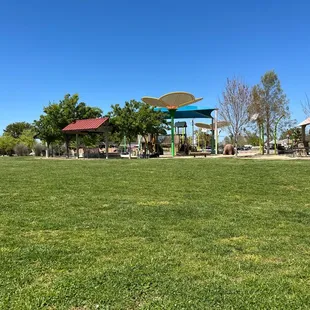 Grass area and play ground