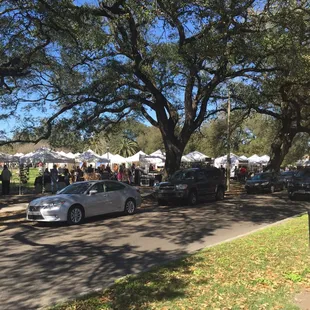 Great day for arts and Palmer!
