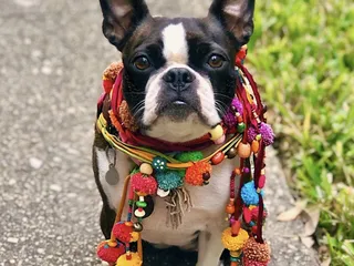 The Bead Shop