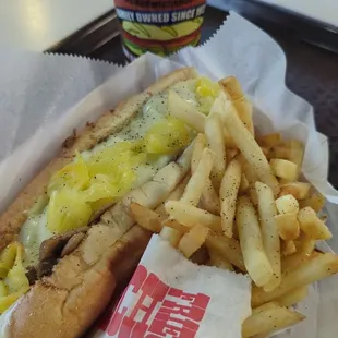 Cheese steak and fries with their homemade seasoning