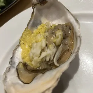 Oyster