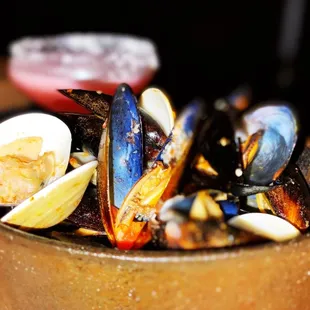 a bowl of mussels and clams