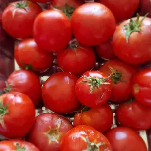 Yummm! My yearly fix of tomatoes