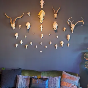 a living room with a green couch and various animal heads mounted on the wall