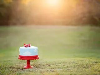 The Blooming Bakery