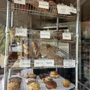 6/8/24 Todays options.