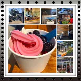 Montage of images from As You Wish Frozen Yogurt