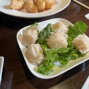 Gyoza