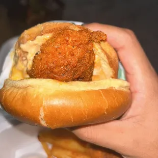 Asad’s Hot Chicken