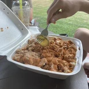 Loaded fries.