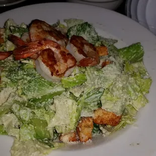 Loving the Shrimp Caesar Salad at Asado Brasserie. Very fresh and light for a post workout meal. Nom nom nom.