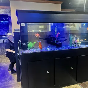 Fish tank