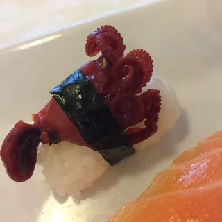 Octopus