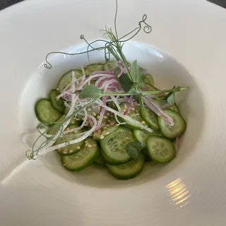 Cucumber Salad
