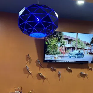 Love the decor