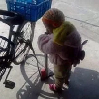 Qiang Z.