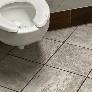 All 5 stools were working with flies, 3 of the 5 had feces on the seats