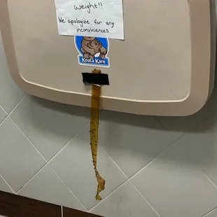 This is fly tape hanging from a broken infant changer that has been broken since October of 2020.