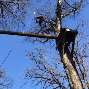 High Ropes Course