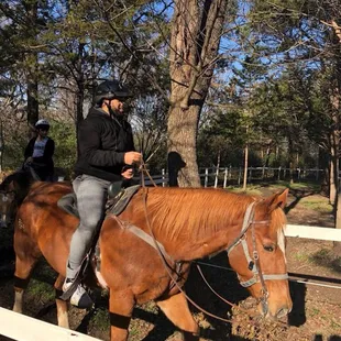 Horseback Riding/Lessons