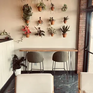 Hanging plants