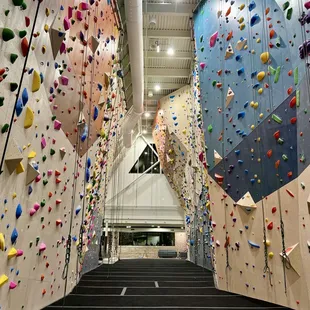 Behold! Rope climbing for days.