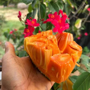 a person holding a piece of fruit