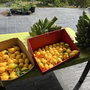 Amazing Abiu fruits on the table many varieties.