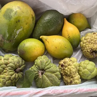 what we bought today