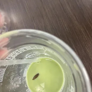 Matcha