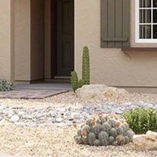 New construction landscape design and installation.