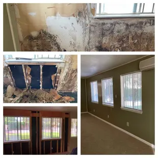 Mold due to water damage. Interior wall repaired.