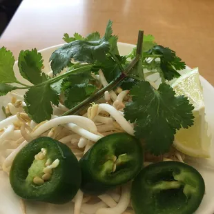 Fresh cilantro, bean sprouts and jalapeños that goes along with the Pho.