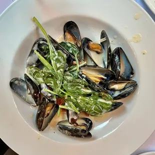 Mussels