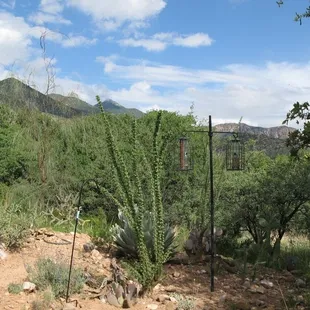 Casita Garden