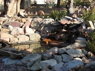 Battiste's Bed, Breakfast and Birds