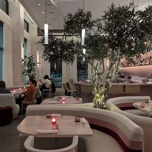 ramen and noodles, outside