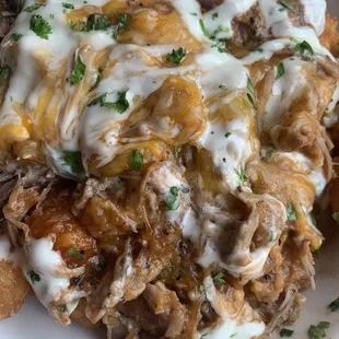 Close up of the pulled pork gator tots. Sloppy, salty, eeewwy, gooey, goodness.