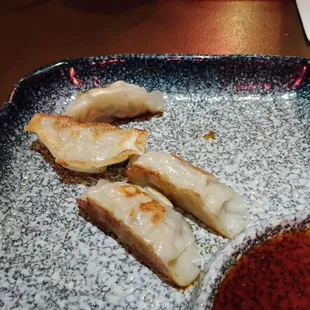 Pan fried dumplings appetizer