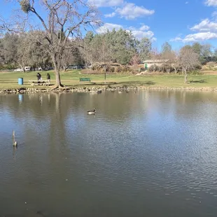 Ashford Park
