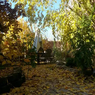 Fall leaves in the Garden