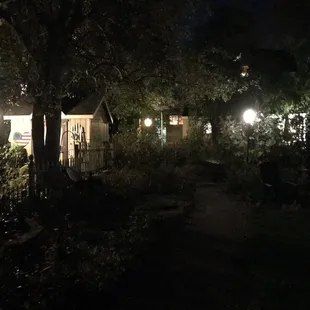 The garden at night