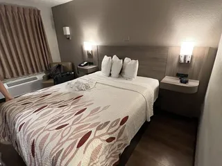 Red Roof Inn Indianapolis - Greenwood